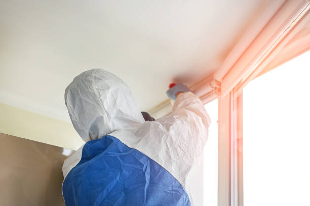 Asbestos and Lead Testing During Mold Inspection in Clayton, NC